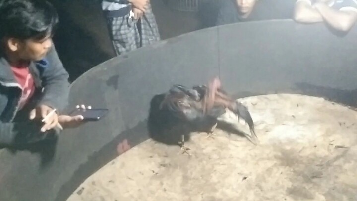 lagi2 sih icibos godek hoki blm usai mabung udh di breng 🤤😇
