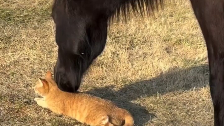 Mami comforts while carrying～
