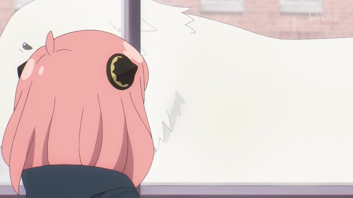 SPY×FAMILY -Mission 13: The "Apple" Plan- Highlights