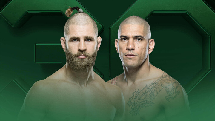 UFC 295: Prochazka vs. Pereira full movie [indo sub]