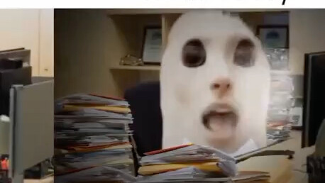 แมวน่ารักขับร้องเพลง “Waiting for Love”