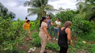 Đi Ăn Giỗ ở Nhà Dì 2 | út đạt | # 397