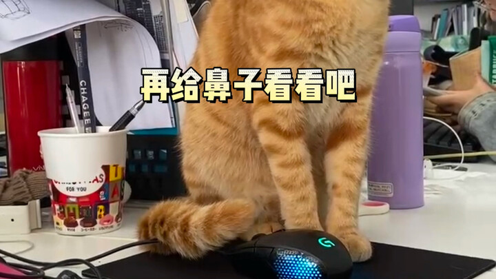 Bạn ăn cơm cùng công ty chúng tôi chính là nó