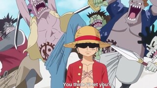 Luffy uses Haki in Fisherman Land #videohaynhat