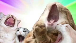 [Soft Science] Uh, uh, wasting my saliva