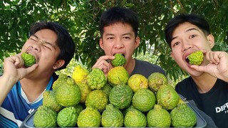 กินมะกรูดหวาน รสชาติเป็นยังไง... จะหวานจริงหรือไม่ กินครั้งแรก?