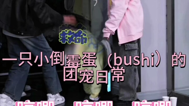 [Yang Bowen] So cute it’ll melt your heart—ending with a bonus clip!