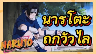 นารูโตะถูกวัวไล่