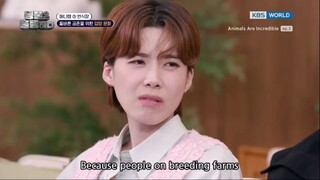 Animals Are Incredible Pilot Ep. 3