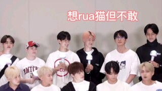 [Seventeen's Jeonghan] I really love how everyone dotes on your adorable, clumsy side