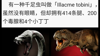 【第4期】动物界千奇百怪的冷知识：光听名字就知道它不简单。。。