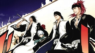 "The Gotei 13 come to the rescue"