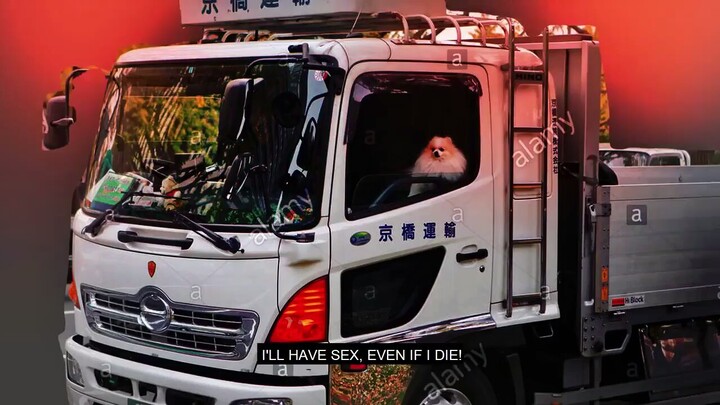 wooohhhhh segsss😆😆