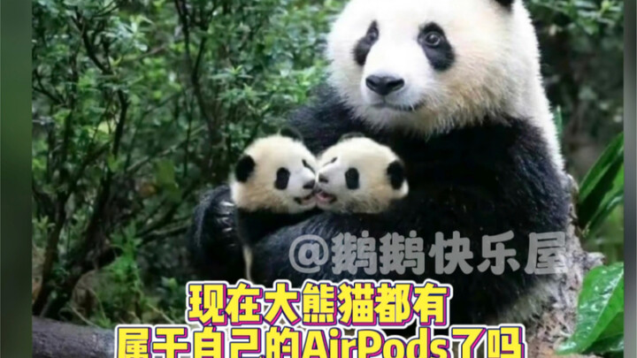 Aaaah, so cute!