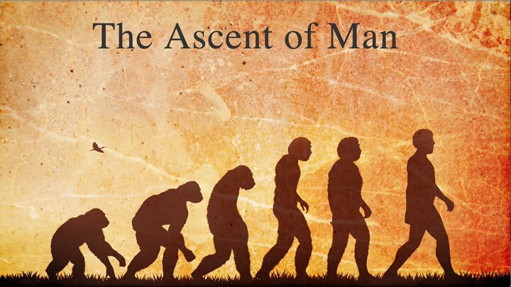 The Ascent of Man, The Majestic Clockwork E7