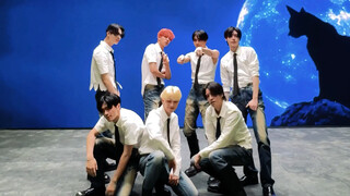 七双筷子腿！劲舞！ENHYPEN TikTok更新：Heat.Back💙 HB_Challenge