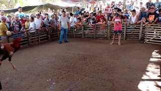 1x winner.minalas nabali tarian.ok lng Ganda Naman ginalaw.