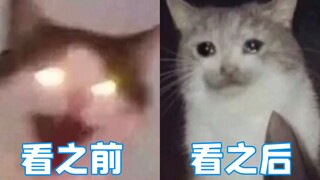 《阿凡达2》看之前 vs 看之后