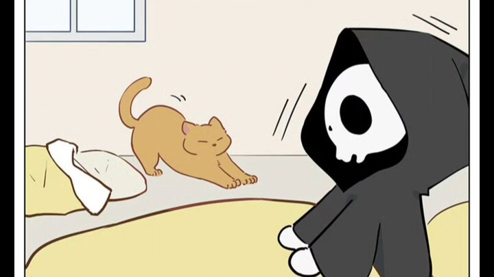 死神的小猫