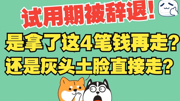 试用期被辞退？这笔钱你可别放弃！试用期快要转正时被辞退有什么补偿可以拿？#星计划#