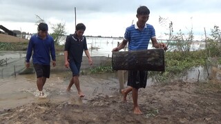 MÙA NƯỚC NỔI PHẢI THỬ QUA MÓN NÀY - TT143