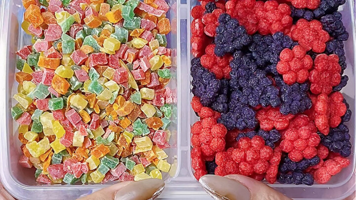 Bảo quản thức ăn cho chuột siêu thực tế, xem hết mà không nhắm mắt thì tôi thua