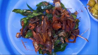 - EXOTIC Vietnamese food tour SUPER RARE street food of Hanoi Vietnam