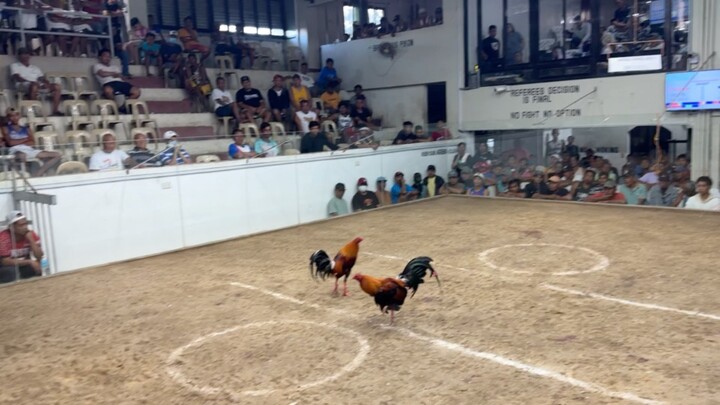 PCC 2nd Circuit Derby @ SOLANA SPORTS AND AMUSEMENT CENTER - WLW