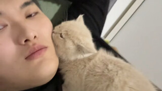 كيف تنام قطة التصاق~