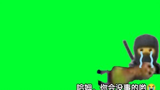 哈姆与小忍者番外