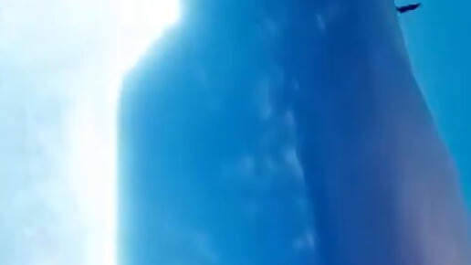 [Black Queen] Shut up!!!