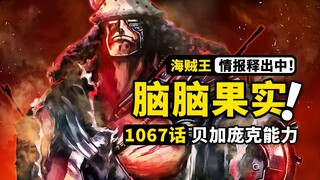 海贼王1067话第1波情报来了！贝加庞克能力公布！CP0抵达蛋尖岛！巨大机器人200年前袭击事件！