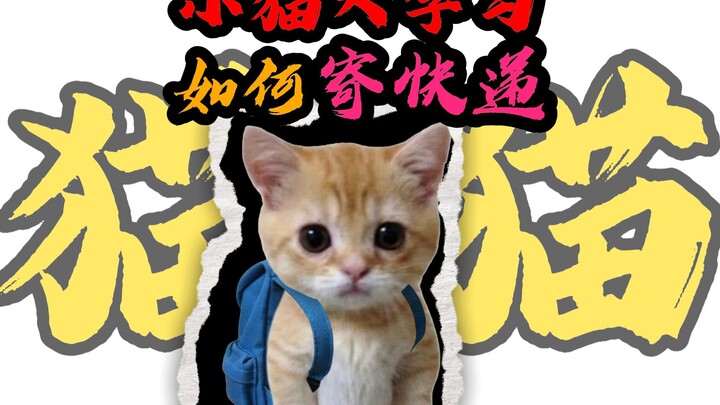 Little Cat’s Big Lesson: How to Send a Package