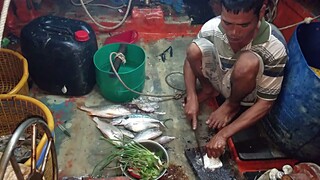 Thả cào bắt cá. bắt mực tươi ''Nấu Ăn'' bữa cơm trên ghe | Ngư Dân Miền Tây