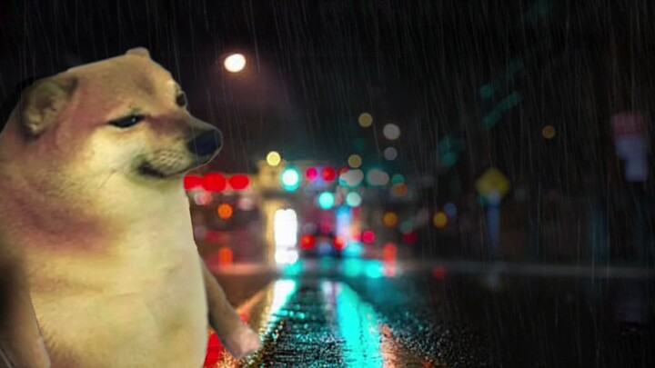 To be honest, I miss you so much.