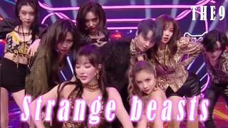 The9 - 'Xenogeneic' First Stage Performance