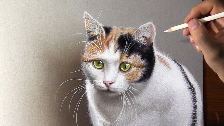 My cat came alive!