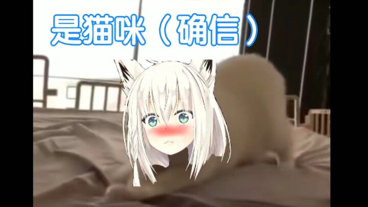 当fbk发现床很滑