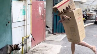 Cái bóng đèn này là cái quái gì thế?