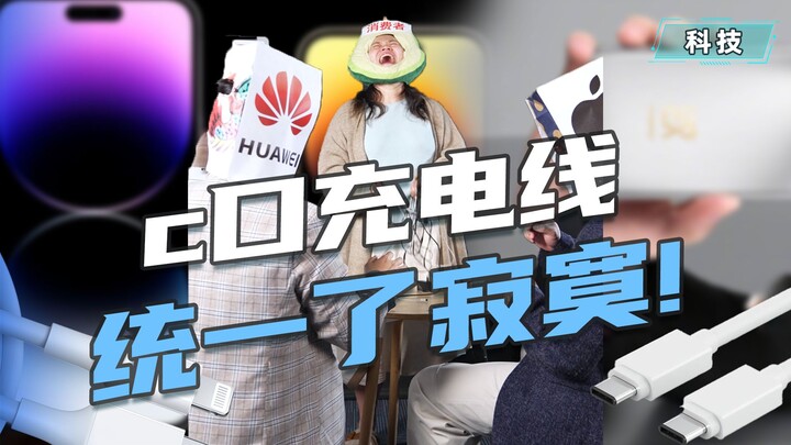 这不能充那不能充！C口统一到底统了个啥！？