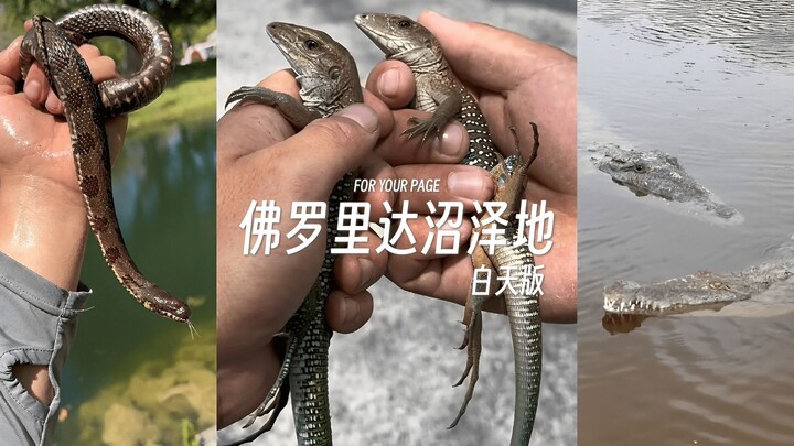 Pt.5 Do you like the friends of Florida’s Everglades? (Daytime Version)