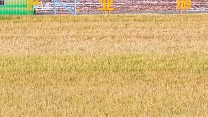 short mini drama.....