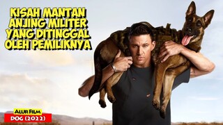 Kisah Anjing Militer Yang Melakukan Perjalanan Bersama Sahabat Barunya | Alur Cerita Film