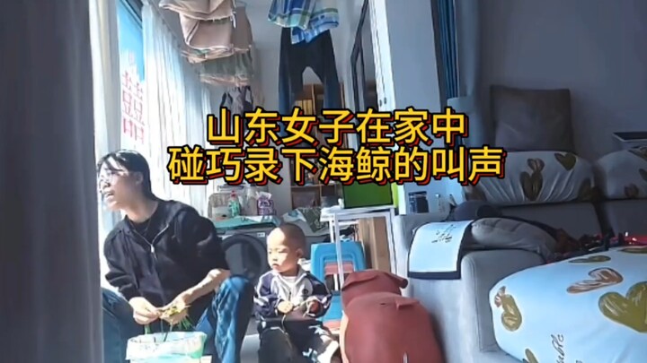 Wanita dari Shandong di rumahnya secara tak sengaja merekam suara paus laut