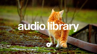 Scheming Weasel (faster version) – Kevin MacLeod (No Copyright Music)