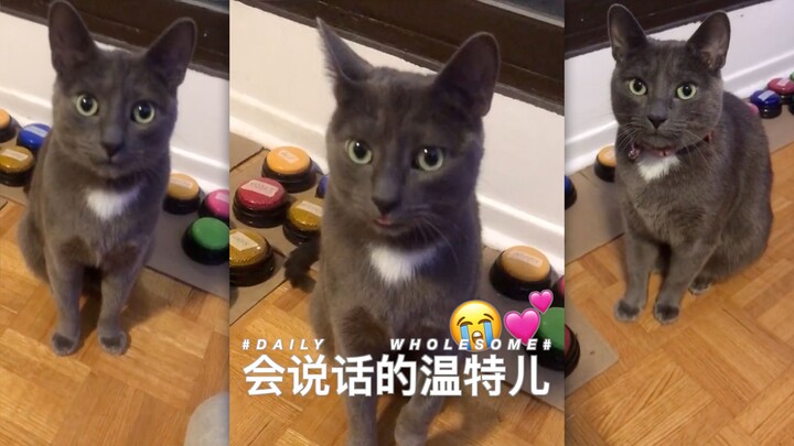 Talking Winter 🥺💕