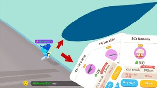 PLAY TOGETHER Thử Săn Tất Cả Loài Cá Mới Nhất HG Gamer