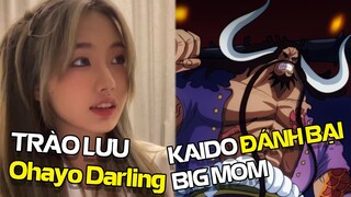 Cảm nghĩ về trào lưu Ohayo Darling - Sẽ ra sao nếu Kaido và Big Mom đánh nhau | W2W Anime #12