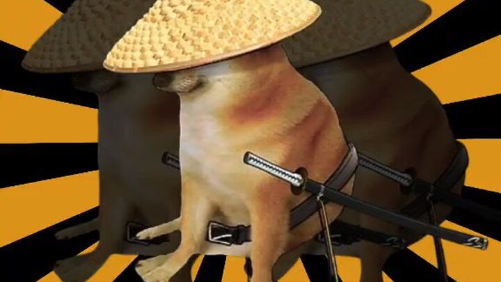 Super Idol dog version