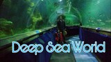 Deep Sea World   Edinburgh Scotland